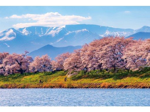 [Miyagi] Day Trip to Snow Wall and Sakura Special Bus Tourの紹介画像