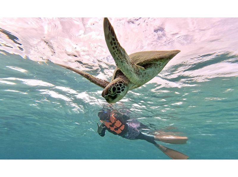 【오키나와 미야코 섬】 기간 한정 가격 ☆ 바다 거북과 추억 만들기! 해외 클래스의 아름다운 바다에서 스노클링 체험 (빈손 OK · 당일 예약 OK)の紹介画像