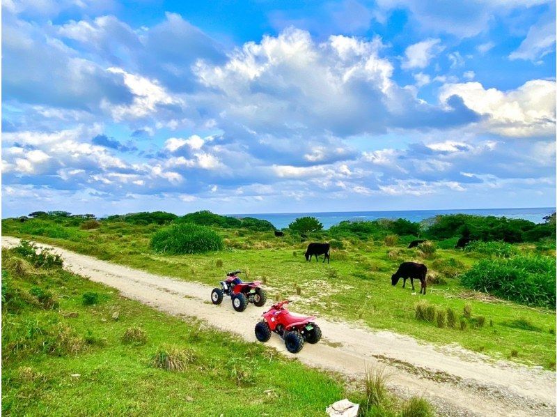 [Ishigaki Island] Spectacular buggy 2-hour tour! Car license required★Beginners welcome, parents and children welcome (from 9:00 AM or from 12:00 PM)の紹介画像