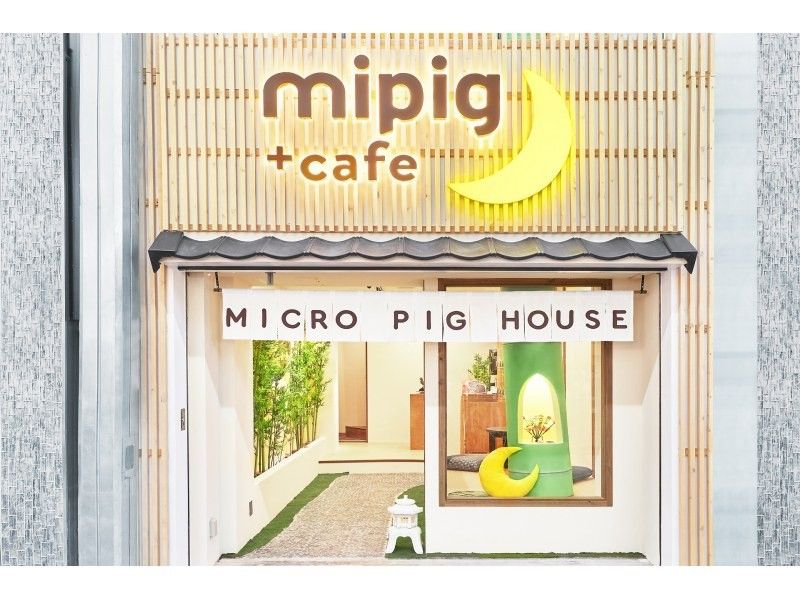 【京都】マイクロピッグカフェ　京都店の紹介画像