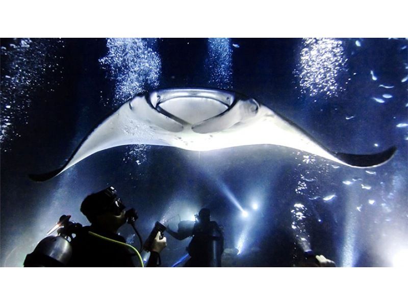 【渋谷から無料送迎　新しい３つの体験プログラがスタート！】の紹介画像