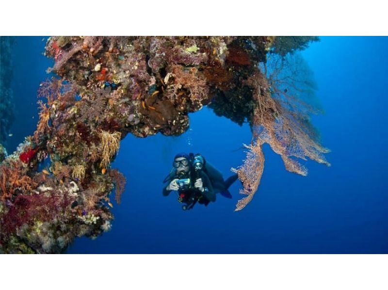 【渋谷から無料送迎　新しい３つの体験プログラがスタート！】の紹介画像