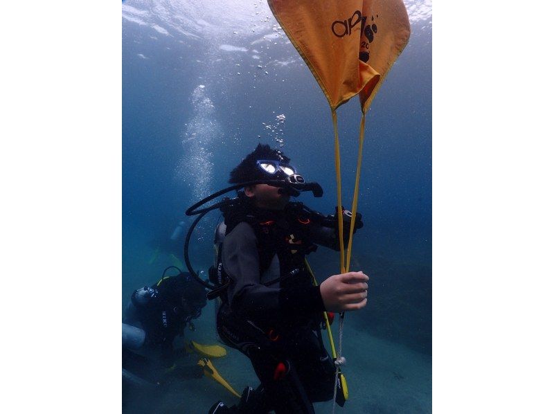 【渋谷から無料送迎　新しい３つの体験プログラがスタート！】の紹介画像