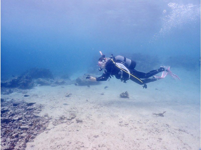 【渋谷から無料送迎　新しい３つの体験プログラがスタート！】の紹介画像