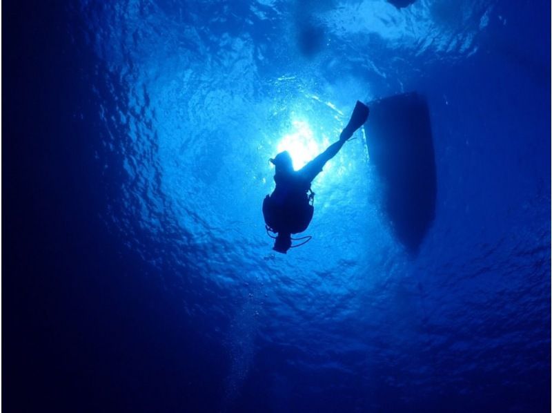 【渋谷から無料送迎　新しい３つの体験プログラがスタート！】の紹介画像