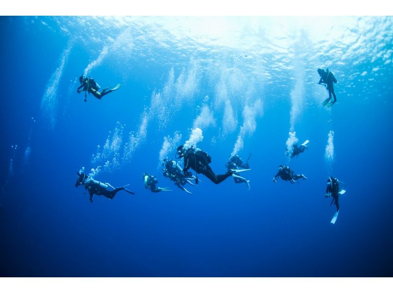 【渋谷から無料送迎　新しい３つの体験プログラがスタート！】の紹介画像