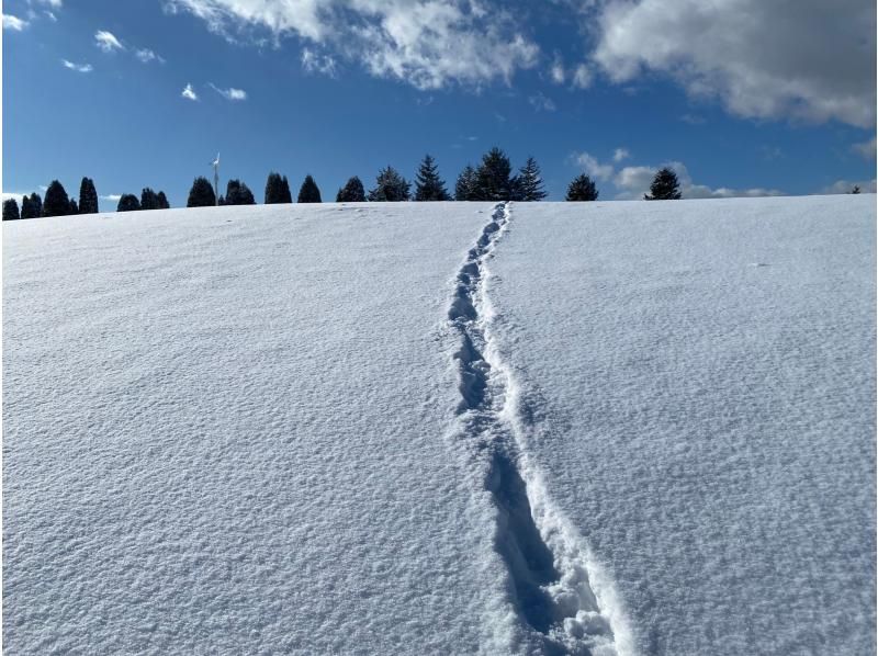 【北海道・千歳】大雪原のバナナボートツアー！白銀の雪景色の世界を見に行こう♪の紹介画像