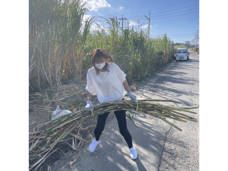 [Okinawa Naha] Sugar cane raw squeezing experience that can be done near Kokusai Street! You can make juice on the spot!の紹介画像