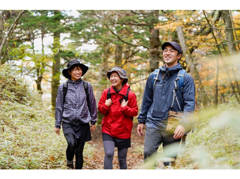 [Yamanashi/Mt. Fuji] Trekking at the foot of Mt. Fuji from the foot to the 5th station. Refresh in nature. A Mt.Fuji experience tour where you can also visit the power spots of Mt.Fuji worship!の紹介画像