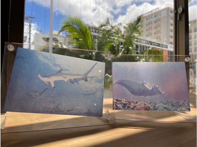 [冲绳那霸]国际通的绘画艺术！让我们制作一张透明闪光的半透明照片吧！の紹介画像