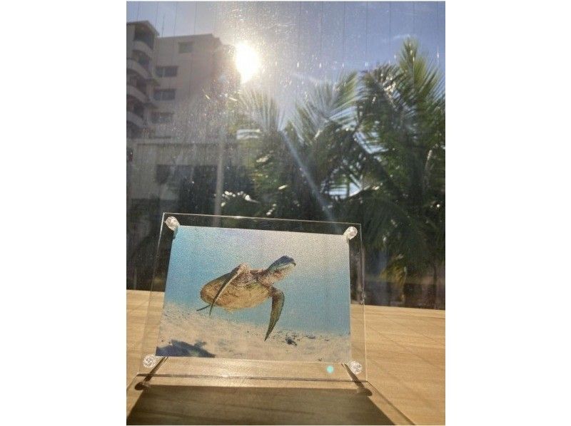 [沖繩那霸]國際通的繪畫藝術！讓我們製作一張透明閃光的半透明照片吧！の紹介画像