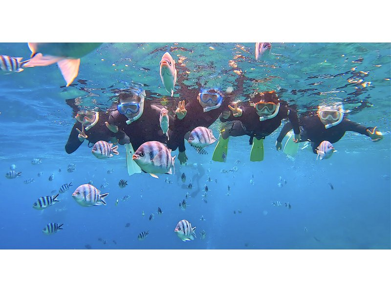 Same-day reservations accepted ≪Blue Cave 3900 yen❗️Private snorkeling available for 2 people or more》Popular with families and couples No additional charge for photos and videos❗Ages 5 to 69 Pick-up and drop-off availableの紹介画像
