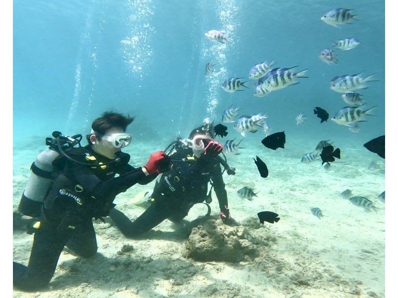 《青の洞窟/貸切！体験ダイビング》カップル、少人数にオススメ❗️初心者大歓迎！GoPro写真や動画全てコミコミ❗️送迎リクエスト可！の紹介画像