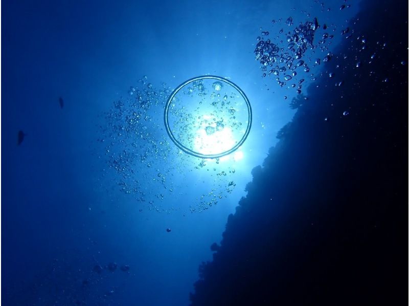 《青の洞窟/貸切！体験ダイビング》カップル、少人数にオススメ❗️初心者大歓迎！GoPro写真や動画全てコミコミ❗️送迎リクエスト可！の紹介画像