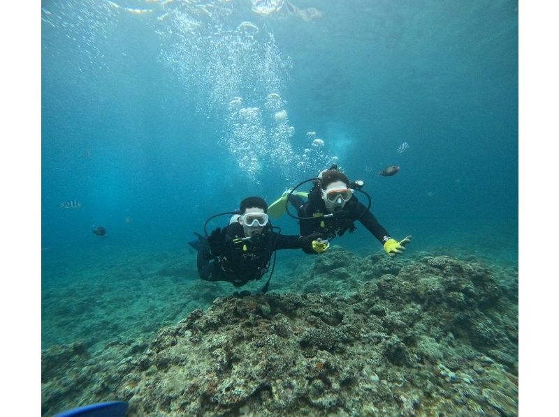 《青の洞窟/貸切！体験ダイビング》カップル、少人数にオススメ❗️初心者大歓迎！GoPro写真や動画全てコミコミ❗️送迎リクエスト可！の紹介画像