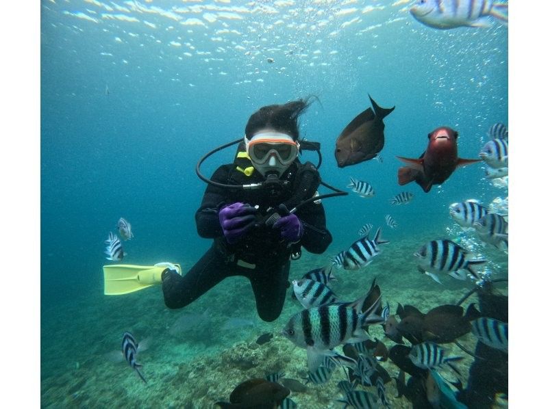 《青の洞窟/貸切！体験ダイビング》カップル、少人数にオススメ❗️初心者大歓迎！GoPro写真や動画全てコミコミ❗️送迎リクエスト可！の紹介画像