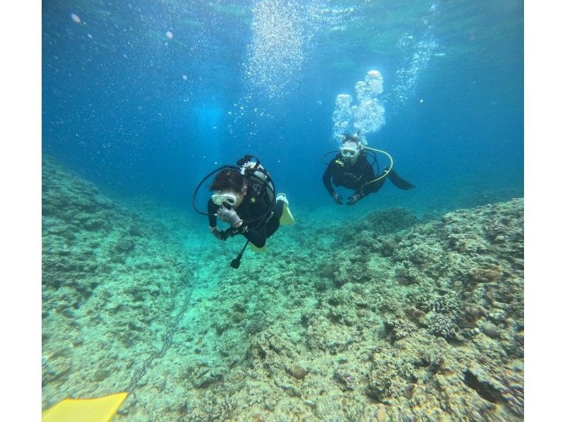 《青の洞窟/貸切！体験ダイビング》カップル、少人数にオススメ❗️初心者大歓迎！GoPro写真や動画全てコミコミ❗️送迎リクエスト可！の紹介画像