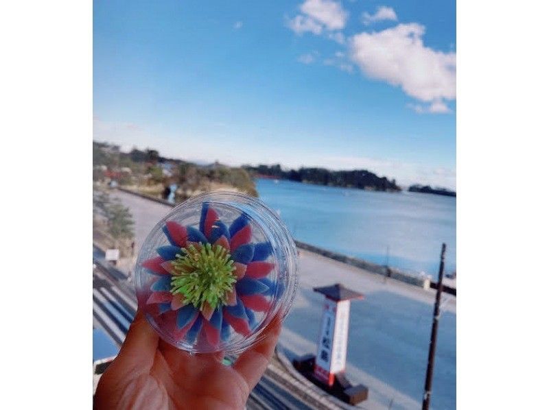 [Miyagi/ Sendai] Flower jelly making experience! Making deco sweets originating in Peru♪の紹介画像