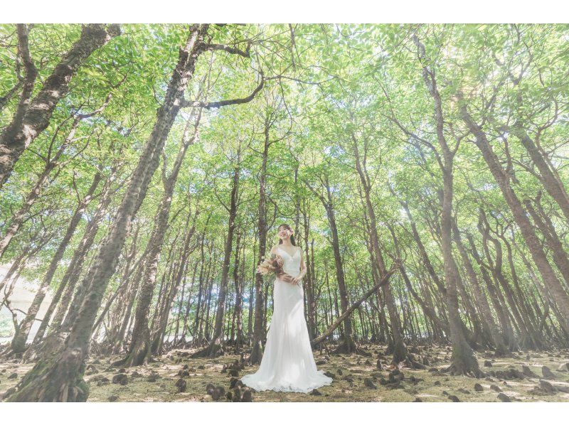 [Okinawa Ishigaki Island] World's first! Ishigaki Island Experience Photo Wedding ♪ A whole day of wedding photography, harvesting experience, and sunset Sanshin performance!の紹介画像