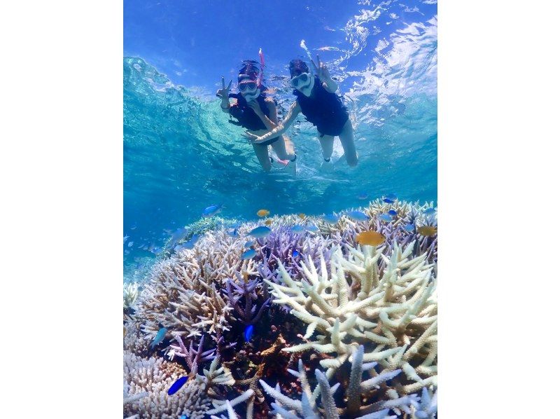 当日予約歓迎！人気NO.1★八重干瀬シュノーケルツアー《ドローン撮影&高画質水中カメラ無料レンタル&撮影データ全部プレゼント》の紹介画像