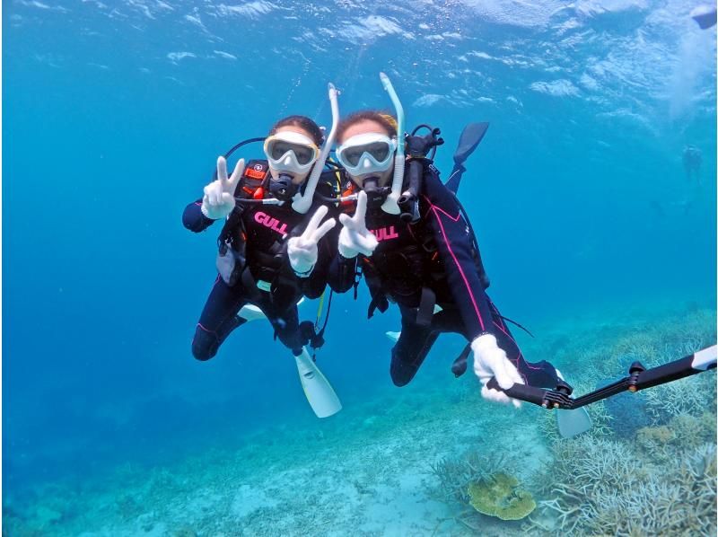 Which is recommended in Yaebise, snorkeling or diving? Thorough comparison of popular experience tours!