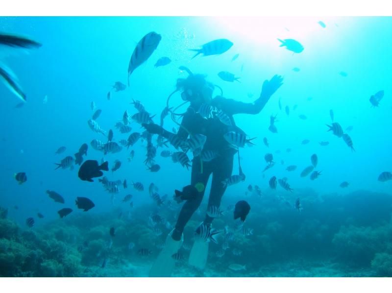 【ダイビングライセンス取得】PADIオープンウォーターダイバーコース2日間の紹介画像