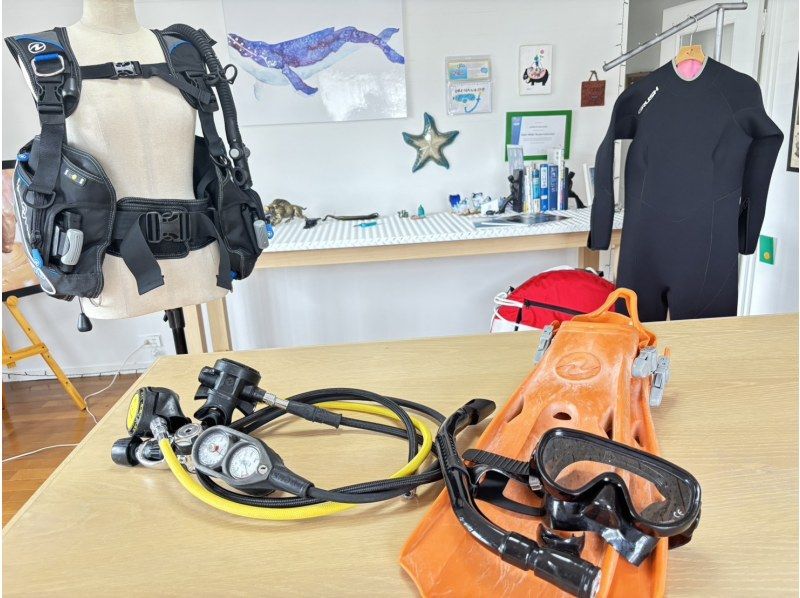 【ダイビングライセンス取得】STARSオープンウォーターダイバーコース2日間の紹介画像