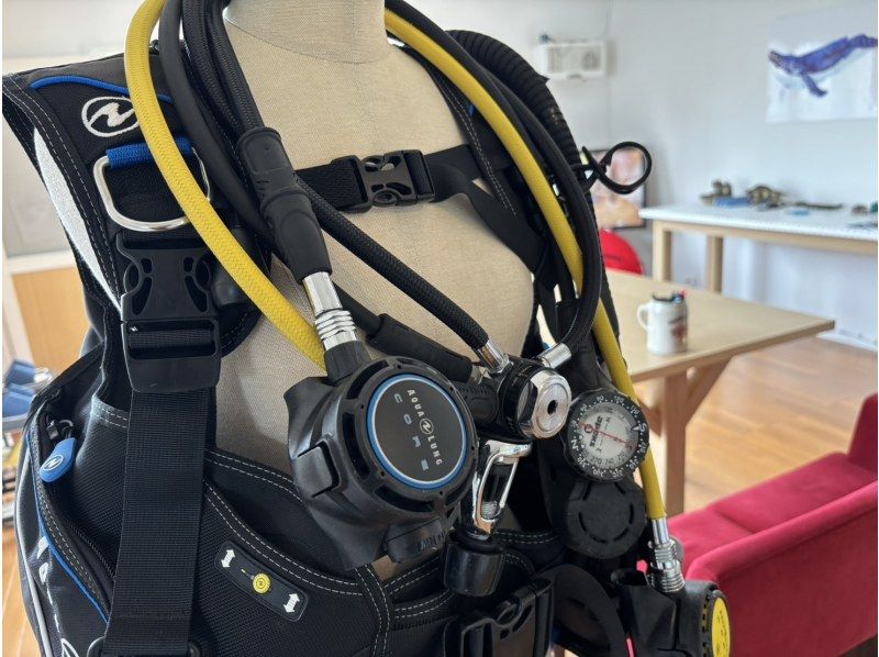 【ダイビングライセンス取得】STARSオープンウォーターダイバーコース2日間の紹介画像