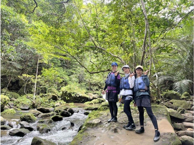 享受西表岛独木舟之旅的人们 风车西表岛徒步之旅