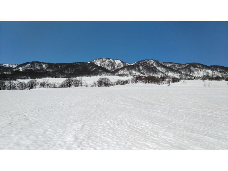 【長野・飯山】3月からの、春のなべくら高原　のんびりプライベート雪上散歩　レンタル付き！ スノーシュー 体験の紹介画像