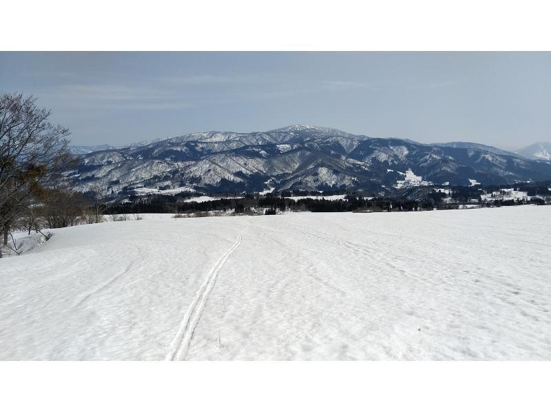 【長野・飯山】3月からの、春のなべくら高原　のんびりプライベート雪上散歩　レンタル付き！ スノーシュー 体験の紹介画像