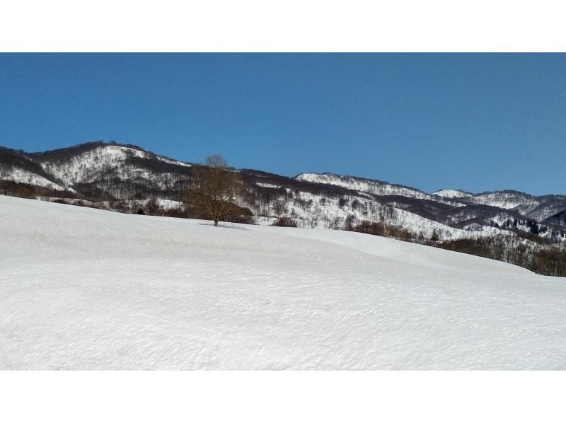 【長野・飯山】3月からの、なべくら高原　のんびりプライベート雪上散歩　レンタル付き！ スノーシュー 体験の紹介画像