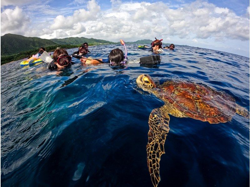 [95% chance of encountering sea turtles] 3 hours! Same-day reservations OK☆ Sea turtle snorkeling & blue cave exploration tour! Free pick-up and drop-off! Free GoPro photo data》の紹介画像