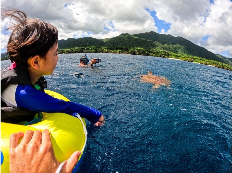 [95% chance of encountering sea turtles] 3 hours! Same-day reservations OK☆ Sea turtle snorkeling & blue cave exploration tour! Free pick-up and drop-off! Free GoPro photo data》の紹介画像