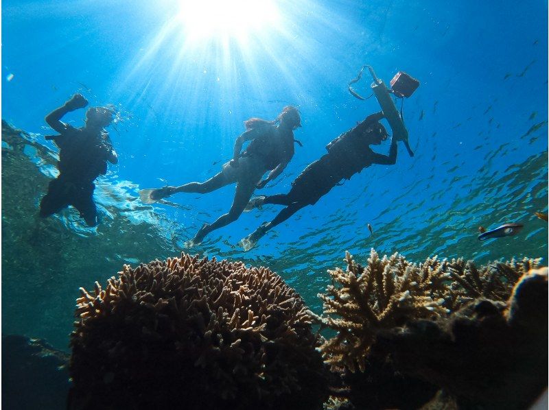 [95% chance of encountering sea turtles] 3 hours! Same-day reservations OK☆ Sea turtle snorkeling & blue cave exploration tour! Free pick-up and drop-off! Free GoPro photo data》の紹介画像