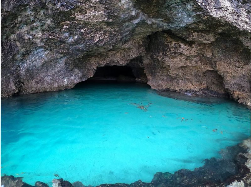 [95% chance of encountering sea turtles] 3 hours! Same-day reservations OK☆ Sea turtle snorkeling & blue cave exploration tour! Free pick-up and drop-off! Free GoPro photo data》の紹介画像