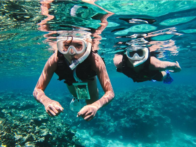 [95% chance of encountering sea turtles] 3 hours! Same-day reservations OK☆ Sea turtle snorkeling & blue cave exploration tour! Free pick-up and drop-off! Free GoPro photo data》の紹介画像