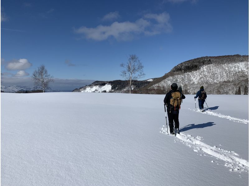[Nagano Prefecture Iiyama] Madarao Kogen snowshoe hiking! Enjoy nature near Madarao Ski Resort <half-day course>の紹介画像
