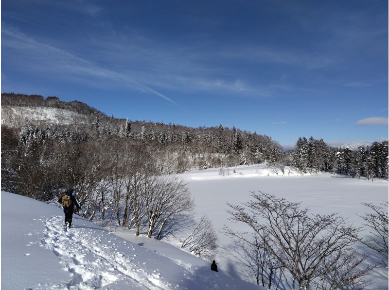 【長野県・飯山】斑尾高原スノーシューハイキング！大雪原と湖上を巡る贅沢コース＜半日コース＞の紹介画像