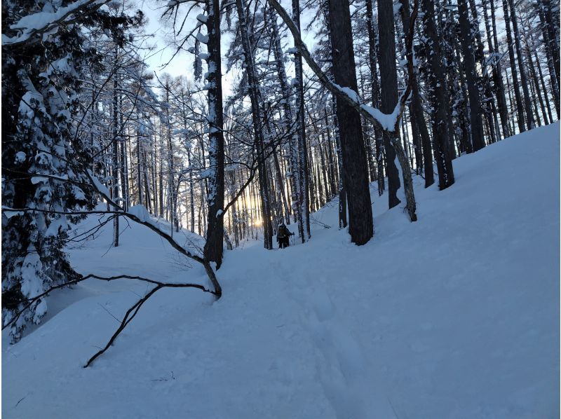 【長野県・飯山】斑尾高原スノーシューハイキング！大雪原と湖上を巡る贅沢コース＜半日コース＞の紹介画像