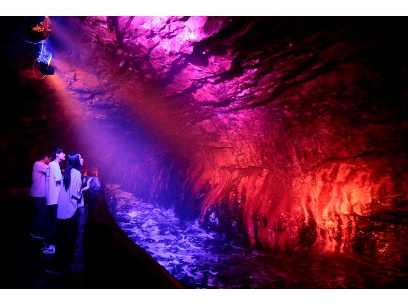 [Wakayama/ Shirahama] Let's explore the night cave ♪ | Starry cave night walk