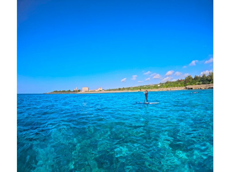 【宮古島】ウミガメと泳ぐ！SUP＆シュノーケリング体験｜遭遇率100％継続中｜写真付き｜初心者・ファミリー歓迎！シギラリゾート近くで開催！の紹介画像