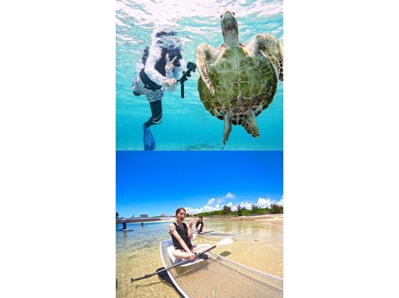 【宮古島】ウミガメと泳ぐ！SUP＆シュノーケリング体験｜遭遇率100％継続中｜写真付き｜初心者・ファミリー歓迎！シギラリゾート近くで開催！の紹介画像