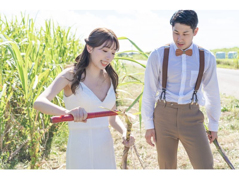 [Okinawa Ishigaki Island] Beach & Sugarcane Experience Photo Wedding ♪ Wedding photo ♪ Sugarcane harvesting experience for beach photographyの紹介画像
