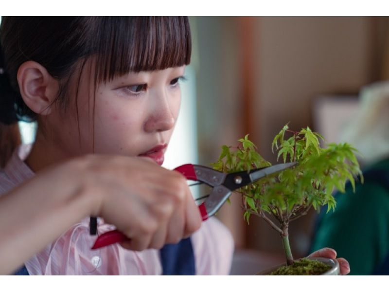 【埼玉・さいたま】世界に一つのオリジナル盆栽を作ろう♪かじゅある盆栽づくり体験の紹介画像