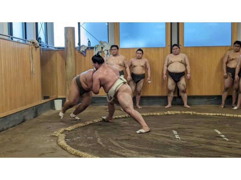 [Tokyo] Sumo practice tour for foreigners visiting Japan! Don't worry, you will be guided by a guide who is familiar with sumo.の紹介画像