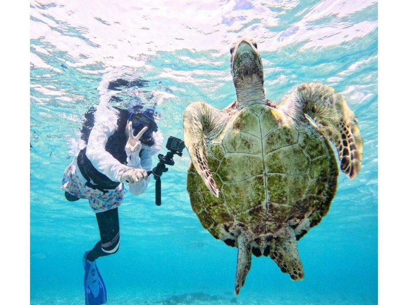 【冬期SALE!!】★ホテル送迎付き！ウミガメシュノーケリングツアー★の紹介画像