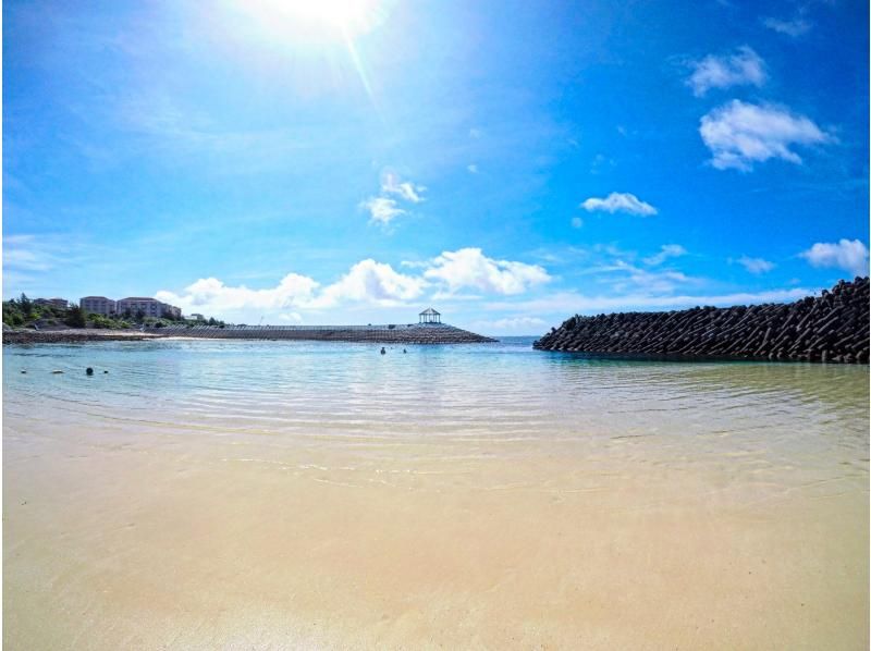 【冬期SALE!!】★ホテル送迎付き！ウミガメシュノーケリングツアー★の紹介画像