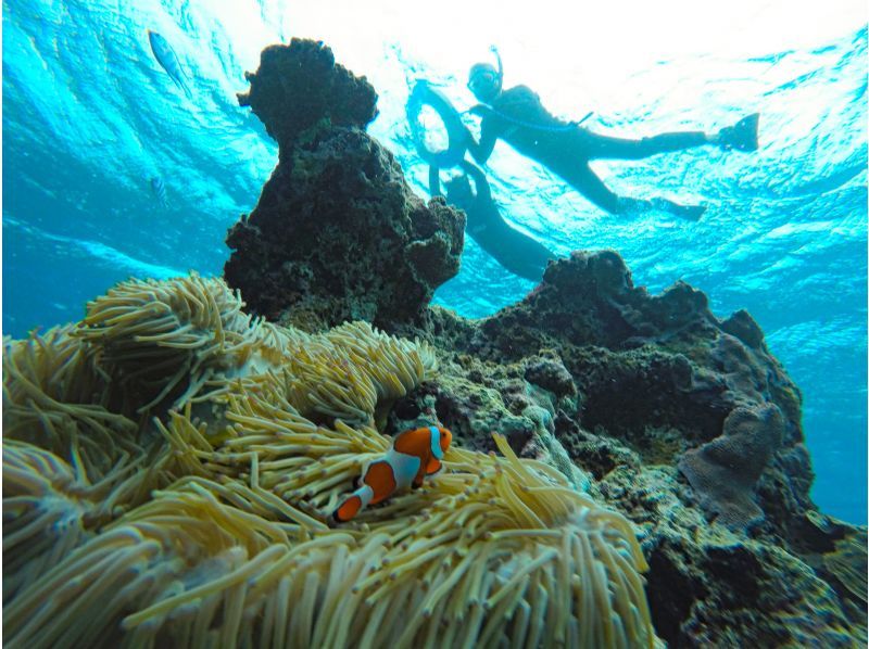 【冬期SALE!!】★ホテル送迎付き！ウミガメシュノーケリングツアー★の紹介画像