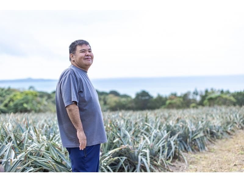 [沖繩石垣島]菠蘿收穫體驗♬讓我們從石垣島收穫和品嚐世界上最好的菠蘿☆（從四月到八月上旬）の紹介画像